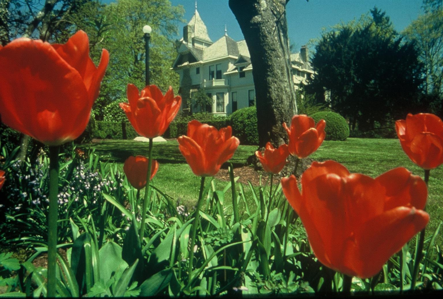 Best Western Plus Mill Creek Inn Salem Comodidades foto